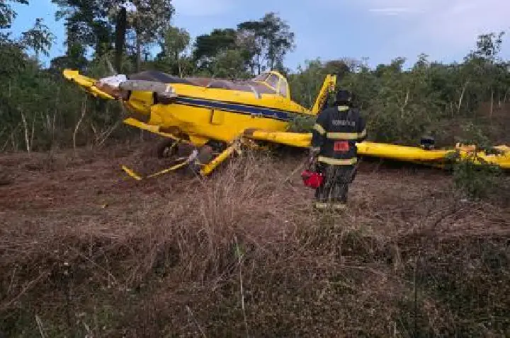 Avião agrícola cai em região de mata no interior do Estado.
