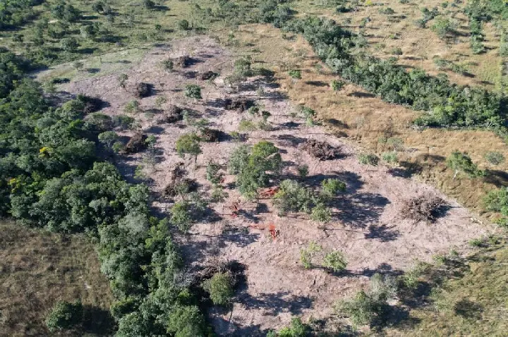 Batalhão Ambiental da PM embarga área após denúncia de desmatamento irregular.