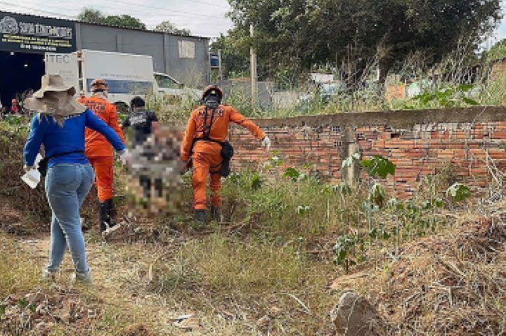 Corpo de homem é encontrado em matagal.
