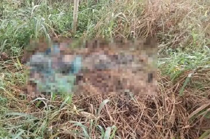 Corpo em decomposição é encontrado em matagal por populares.