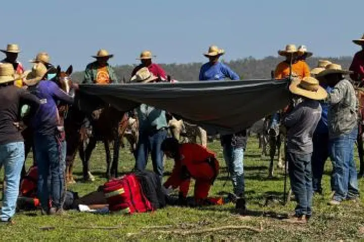 Homem é resgatado de helicóptero após cair de cavalo durante trabalho com gado.
