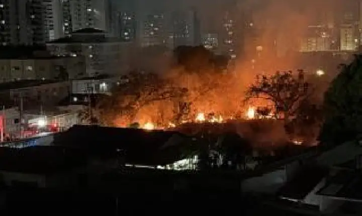 Incêndio em vegetação assusta moradores.