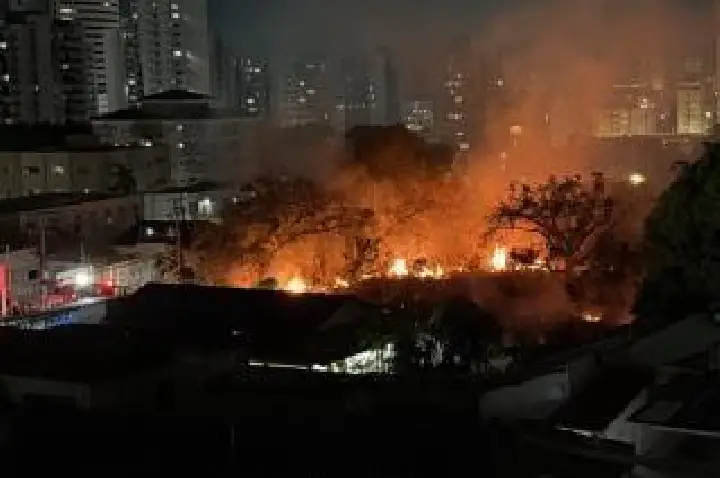 Incêndio em vegetação assusta moradores.