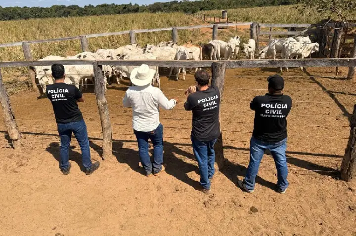 Operação integrada entre as Forças de Segurança Pública resulta na recuperação de rebanho furtado em propriedade rural.