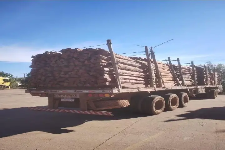 OPERAÇÃO TIMBER SHIELD PODE TER APREENDIDO A MAIOR CARGA DE COCAÍNA DA HISTÓRIA DO BRASIL.