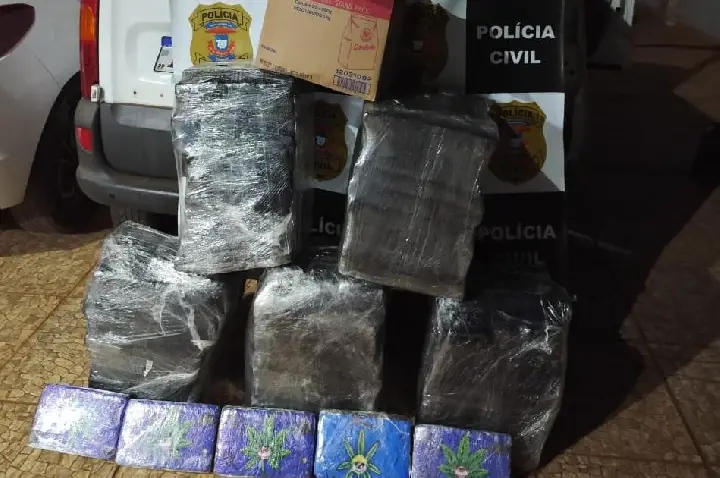 Polícia Civil apreende 178 tabletes de maconha e desarticula esquema de distribuição de drogas.