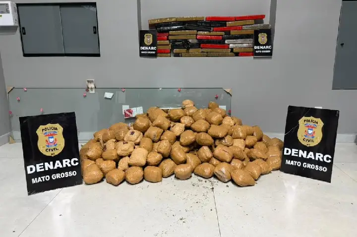 Polícia Civil apreende mais de 150 quilos de maconha.