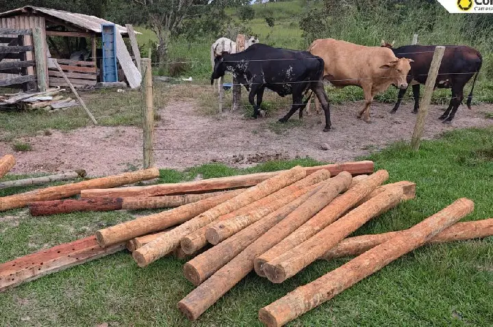 Polícia Civil esclarece furto em propriedade rural e recupera materiais furtados.