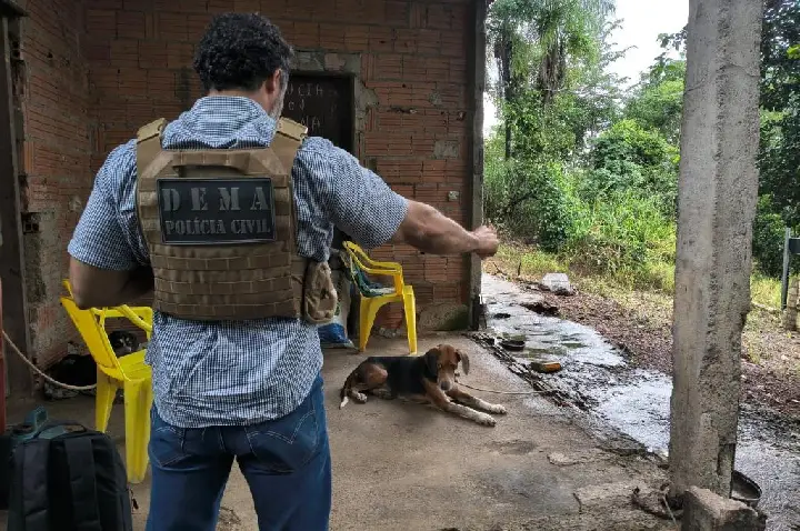 Polícia Civil identifica suspeito por maus-tratos e abuso contra cachorro.