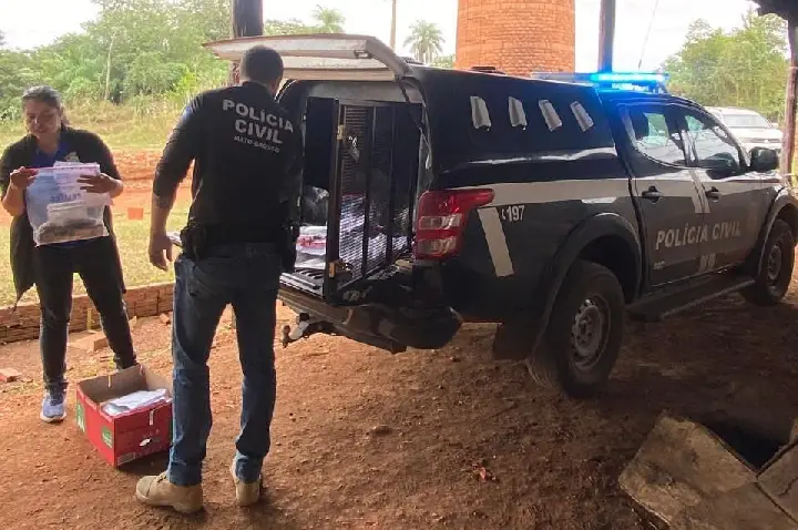 Polícia Civil incinera 60 quilos de entorpecentes apreendidos.