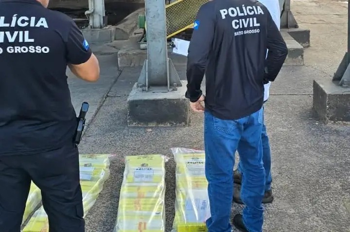 Polícia Civil incinera cerca de 109 quilos maconha apreendidos.
