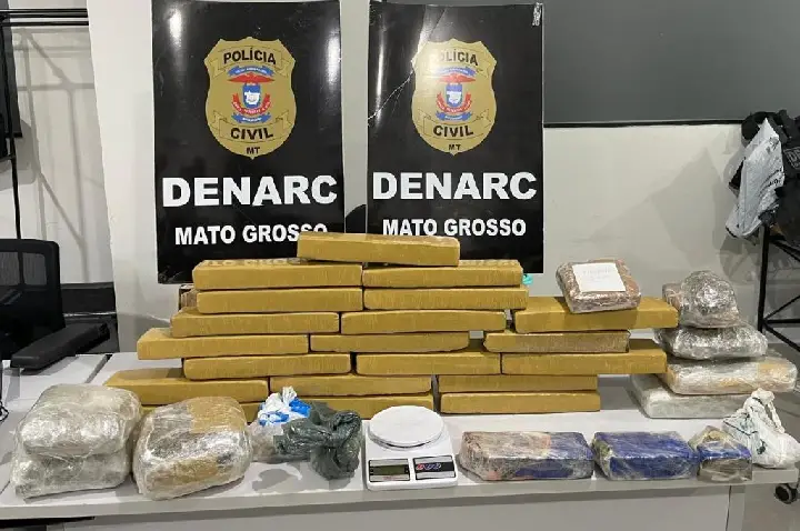 Polícia Civil localiza depósito de entorpecentes em área de mata.