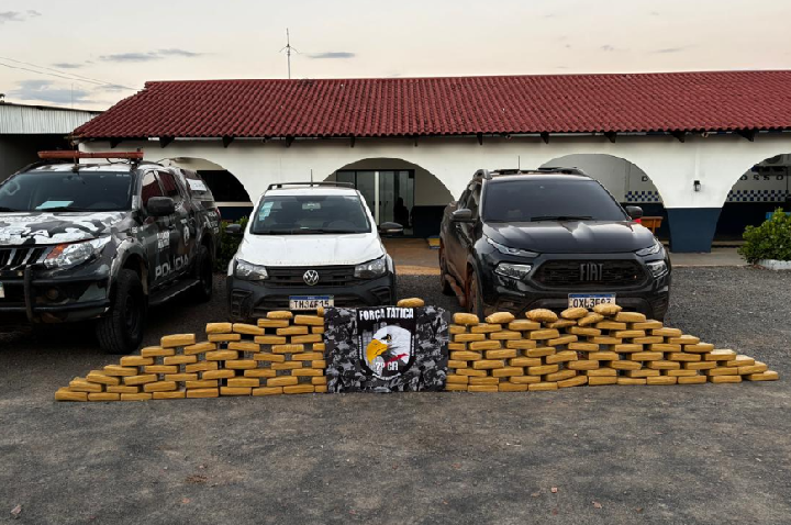 Polícia Militar apreende 146 tabletes de maconha em Campo Novo do Parecis.