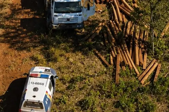 Polícia Militar prende dois homens suspeitos por extração ilegal de madeira.