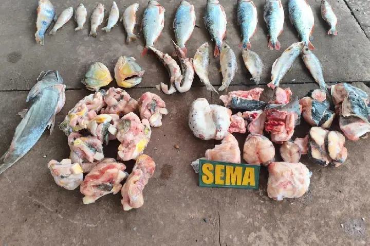 Sema e PM apreendem pescados irregulares em estabelecimento às margens do Rio.