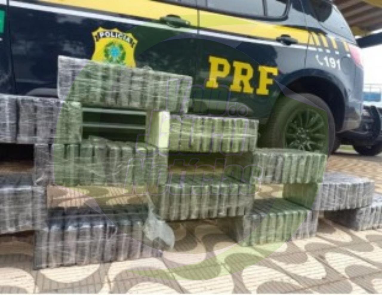 PRF apreende 150 tabletes de drogas em MT em carga de algodão