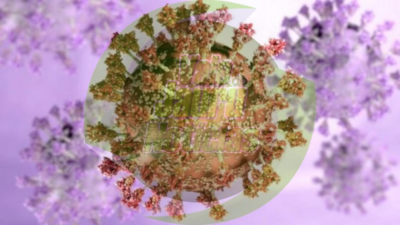 Aparecida de Goiânia registra 1ª morte por ômicron no Brasil, diz prefeitura