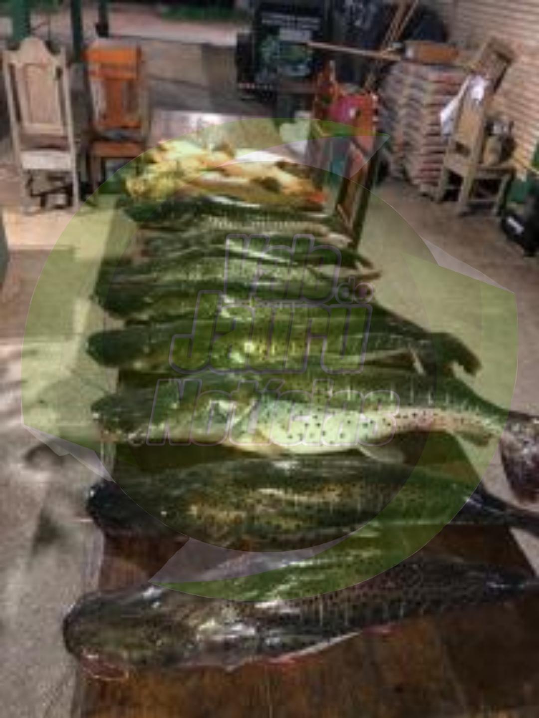 Batalhão Ambiental e Juvam apreendem 98 quilos de pescado ilegal no Rio Paraguai,em Cáceres
