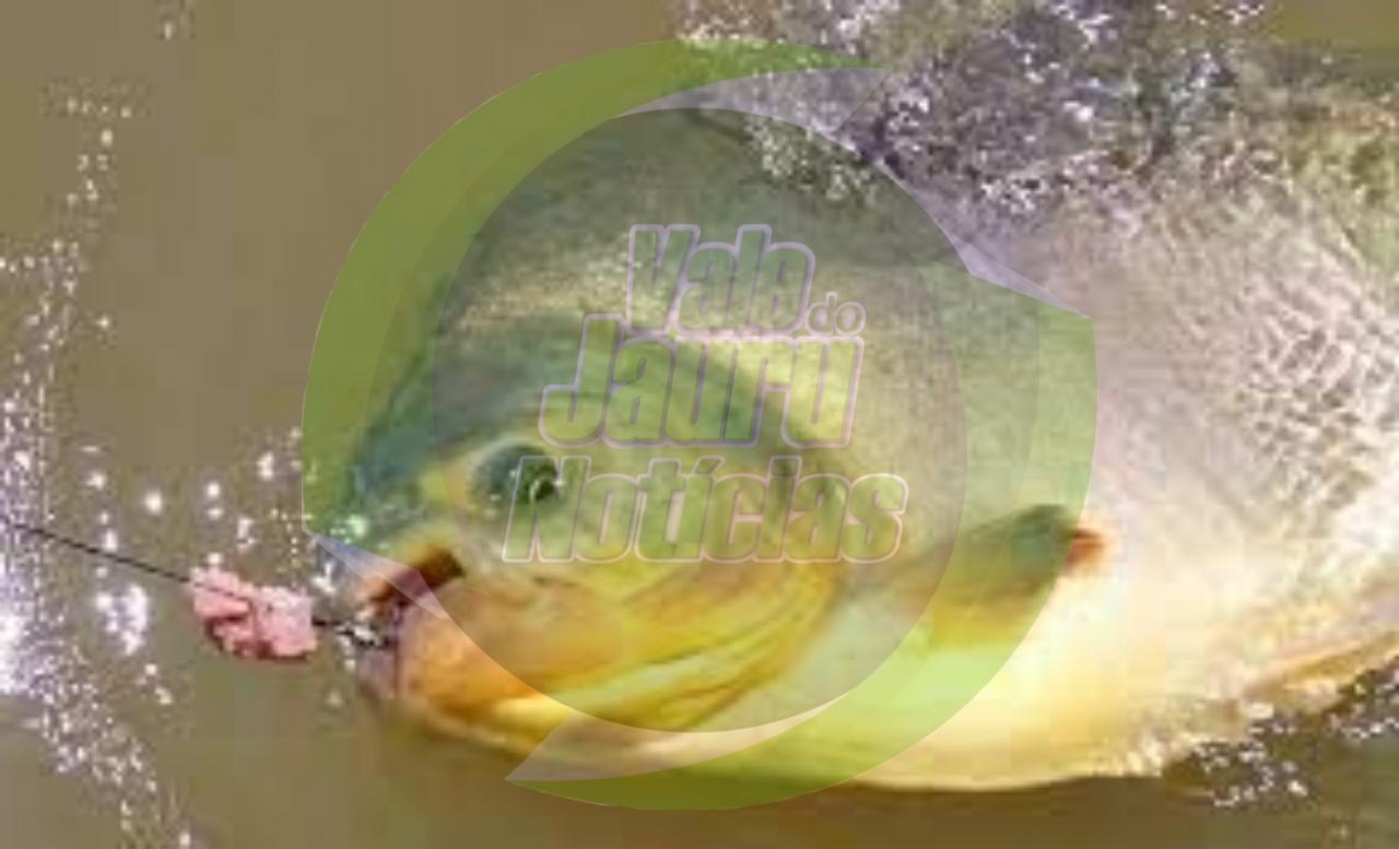 Começa amanhã a temporada de pesca em Cáceres