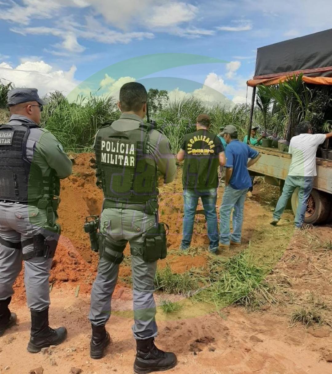 Indea alerta que venda ambulante de mudas e sementes ameaça a agricultura de MT