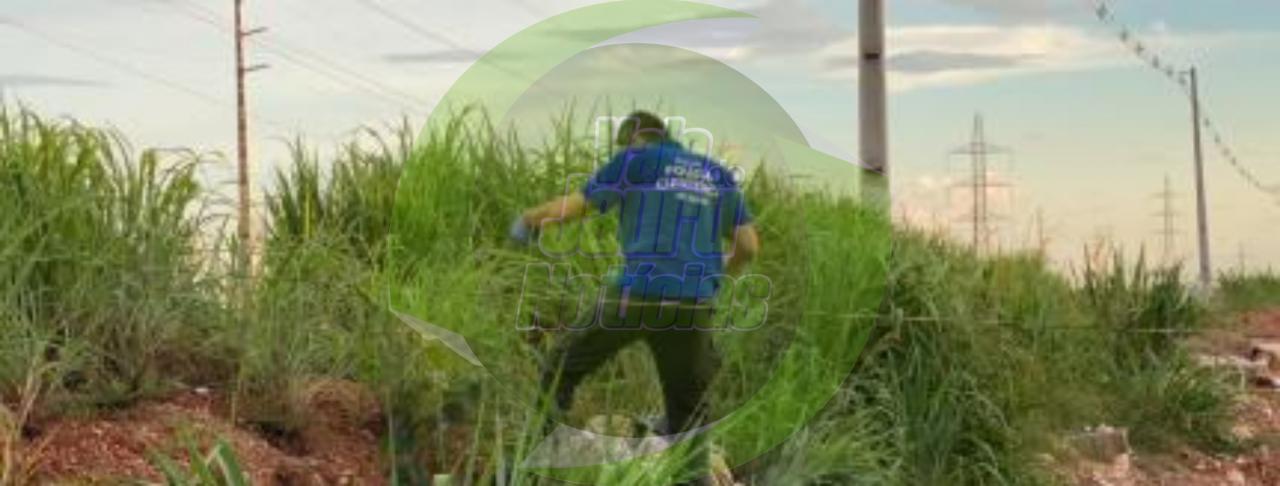 Corpo é achado parcialmente enterrado em cova no interior