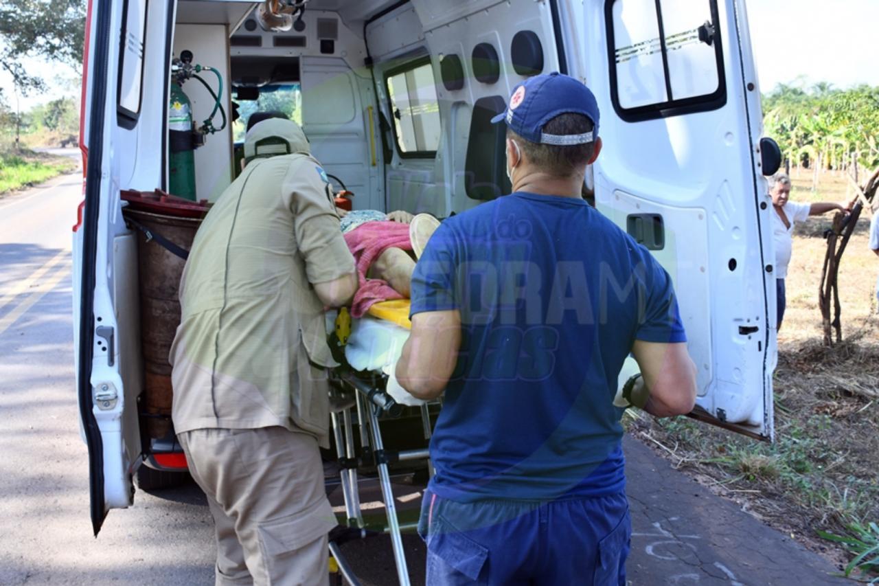 Idosa fica ferida após bater caminhonete em árvore na  MT-270