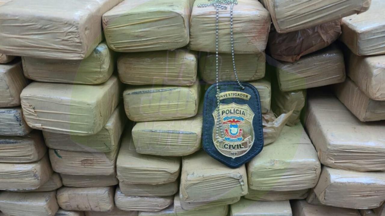 Polícia Civil faz uma das maiores apreensões de drogas em Sinop; 400 kg