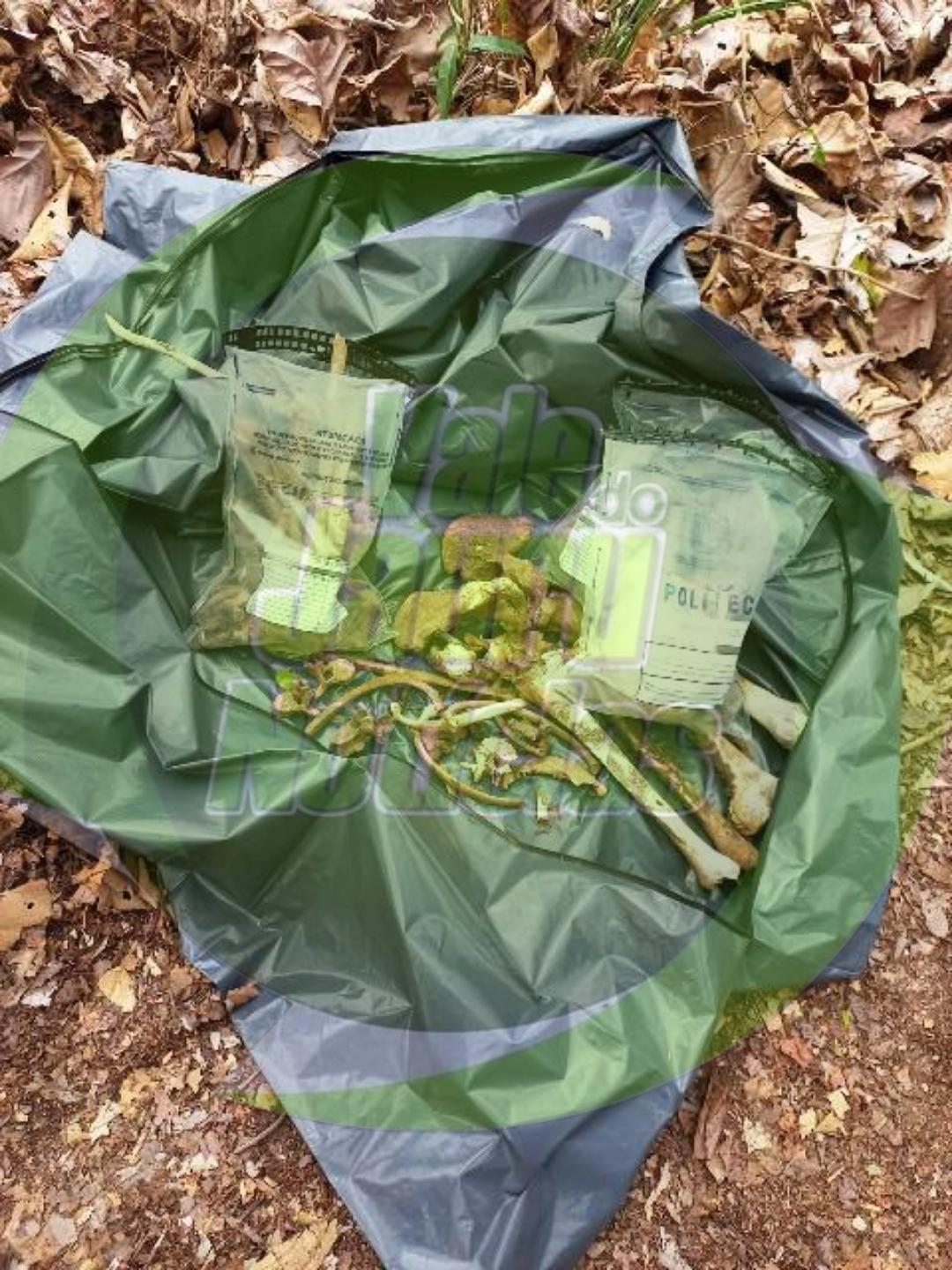 OSSADA HUMANA É ENCONTRADA NA ÁREA DO IFMT EM CÁCERES E PJC INVESTIGA