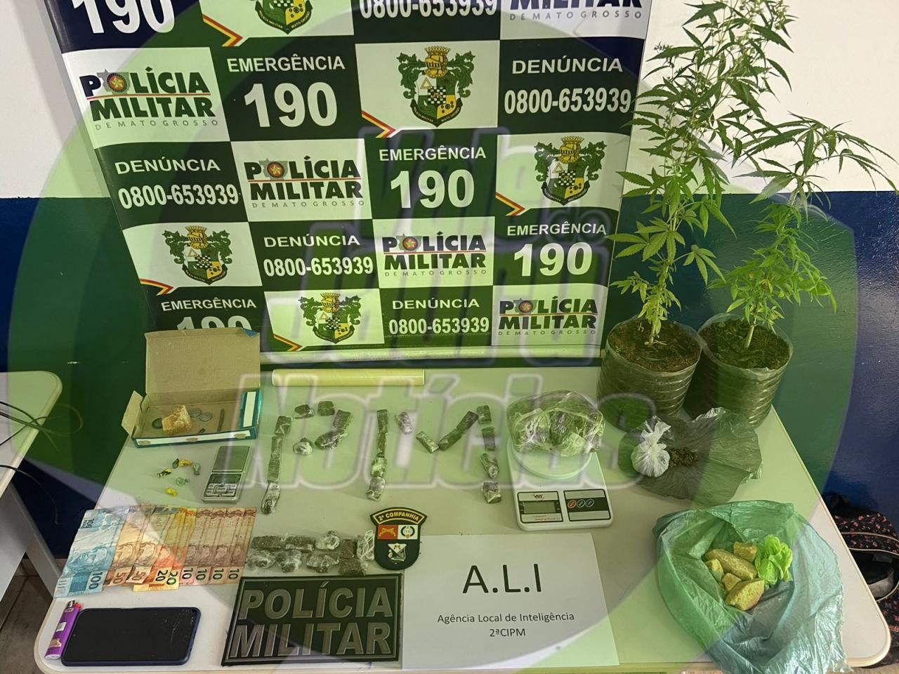 PM faz aprençõesde drogas em residência em Comodoro MT.