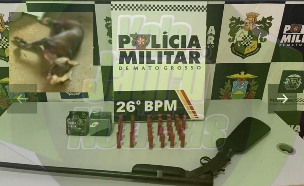 Homem é preso por matar cachorro da raça pitbull que invadiu sua casa
