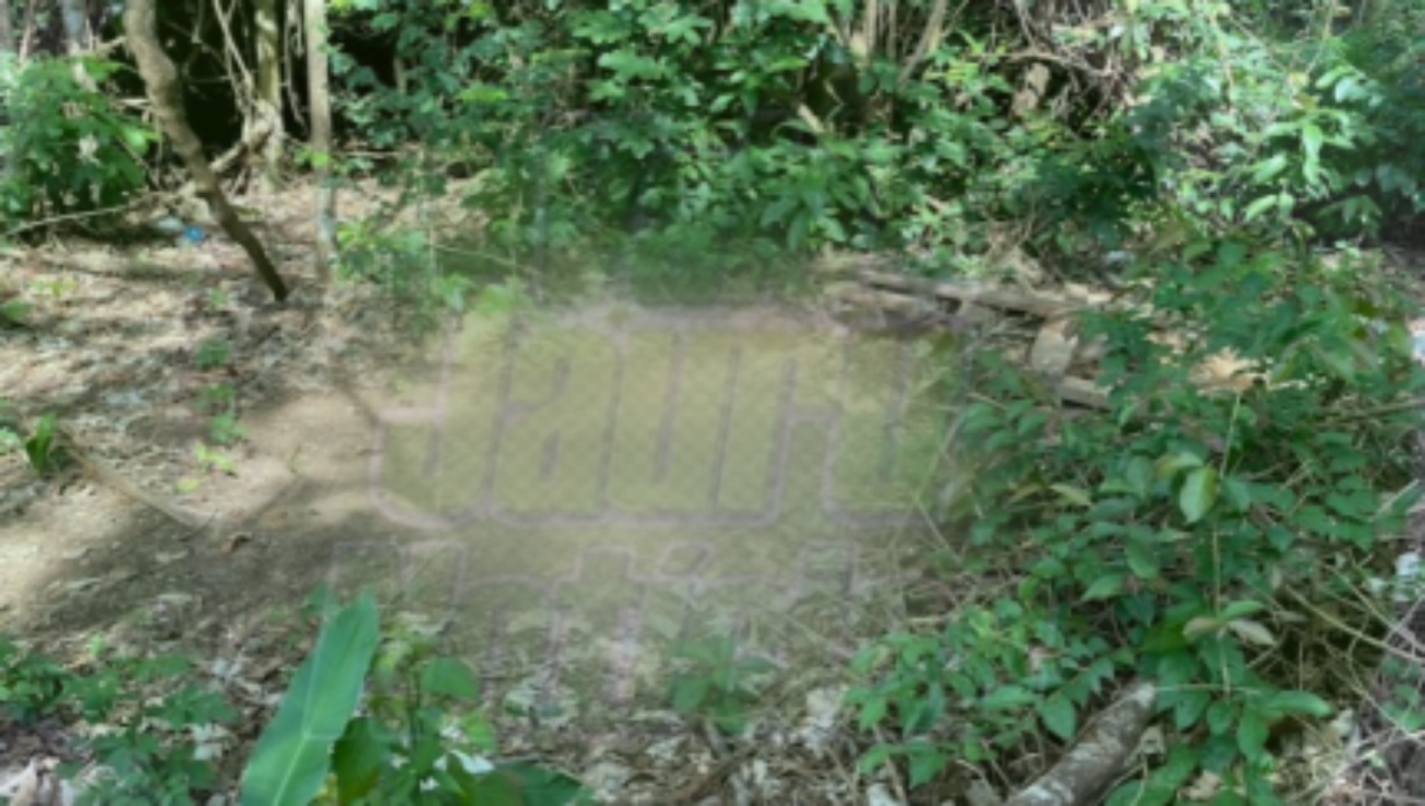 Corpo de jovem desaparecido é encontrado em cova rasa