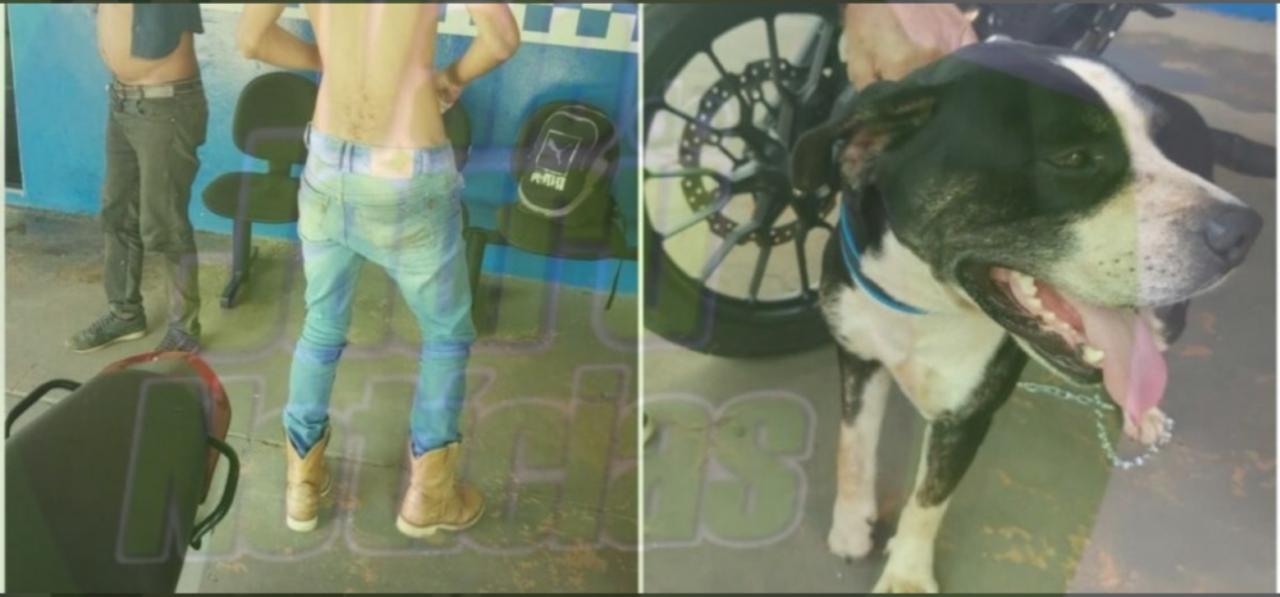 Dupla é presa por espancar cachorro no interior; animal foi vítima de zoofilia