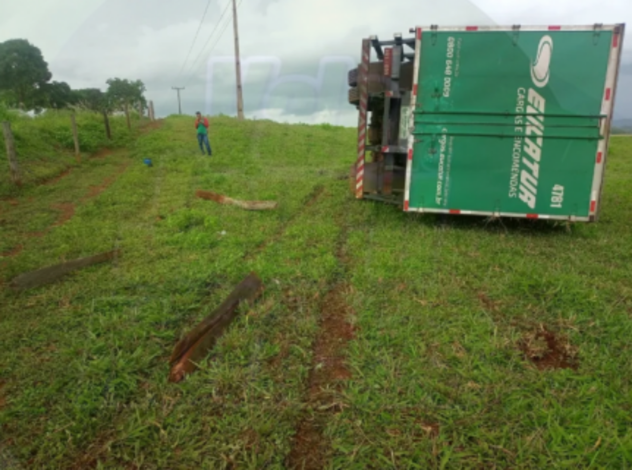 Inseto faz motorista perder controle e capotar caminhão