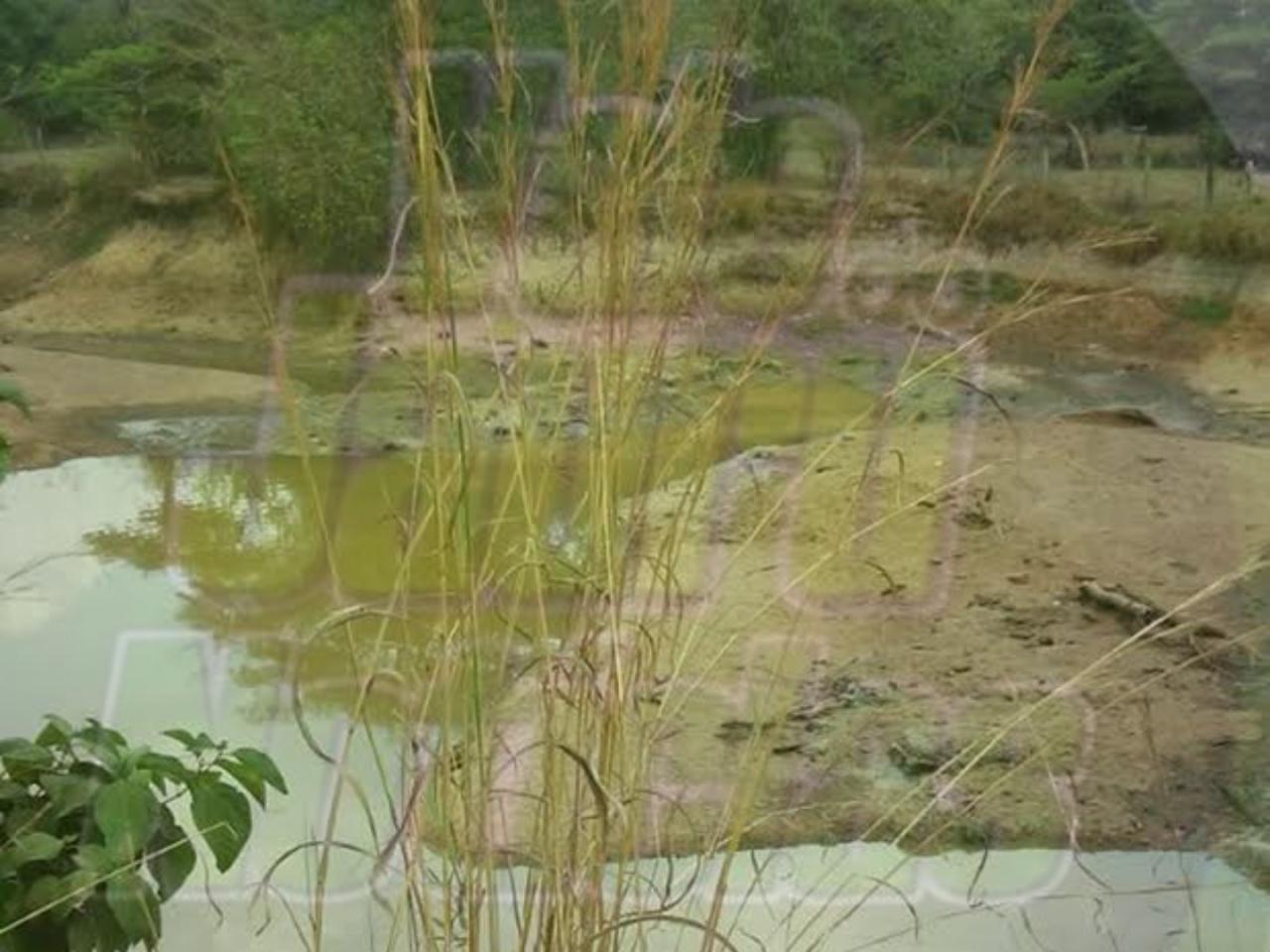 Menina de 1 ano morre afogada em represa de sítio no interior do Estado