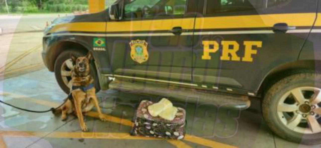 Mulher é presa tentando transportar dois quilos de maconha de MT para São Paulo