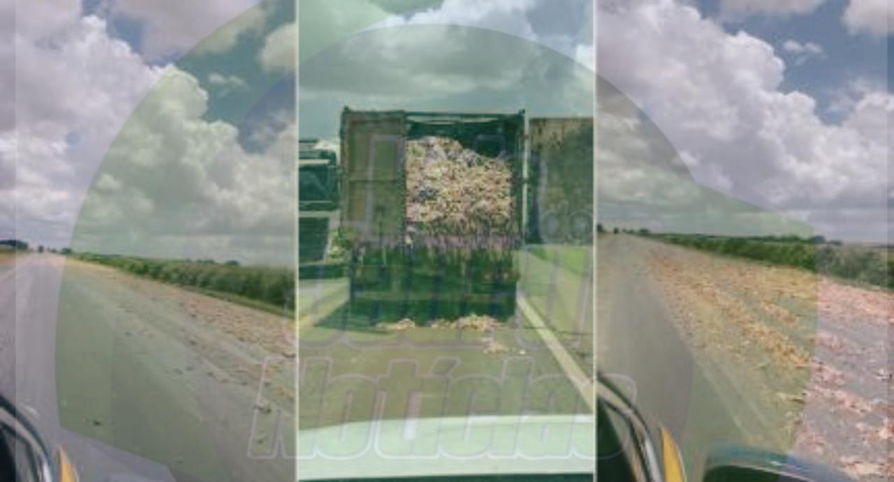 Tampa de caminhão se abre e carga de carcaças de frango se espalha pela BR-163 em MT