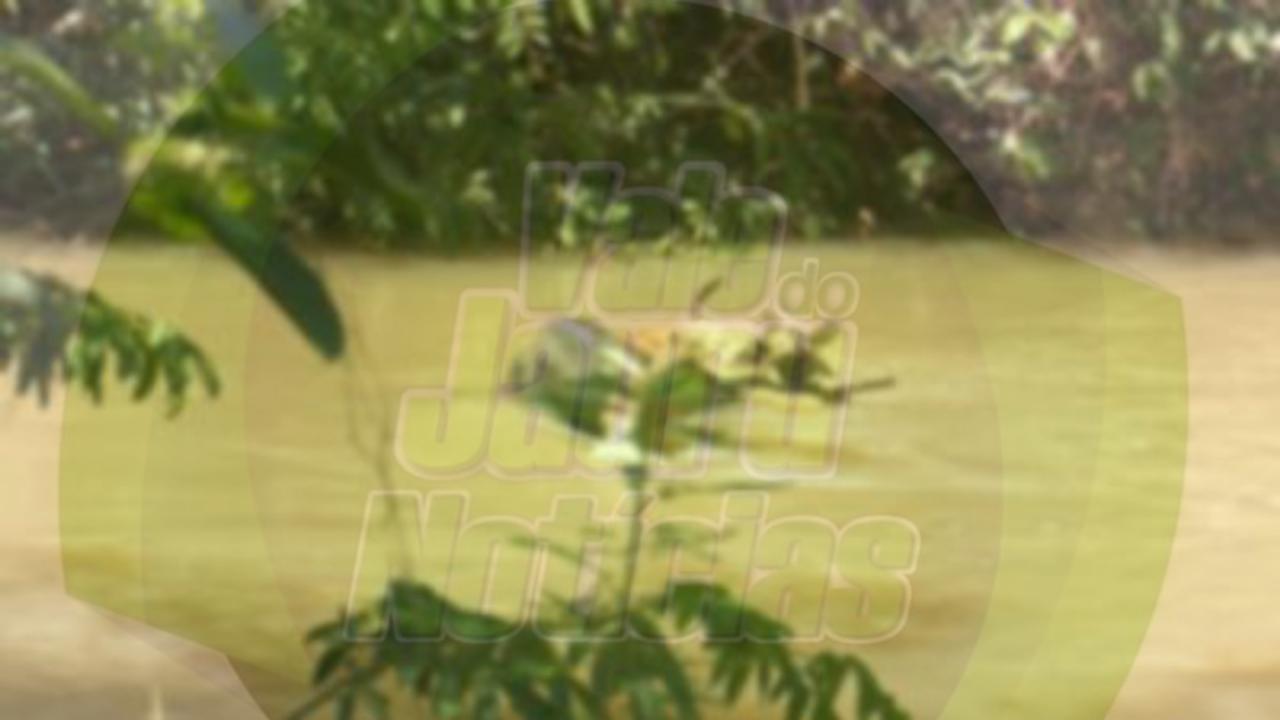 Corpo de um homem sem identificação é encontrado no rio Lira em Sorriso