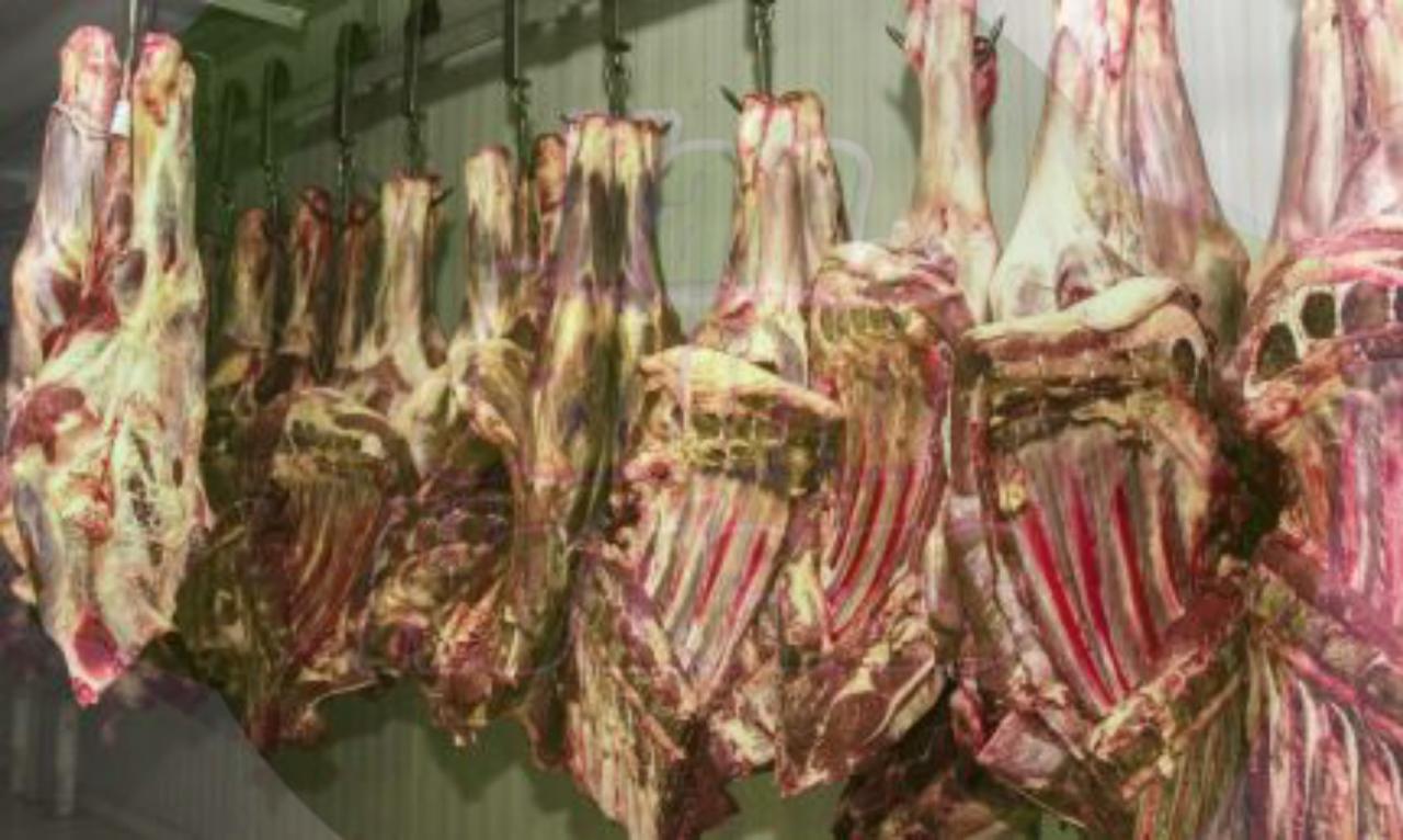 Exportação da carne bovina tem redução com caso atípico de ‘vaca louca’