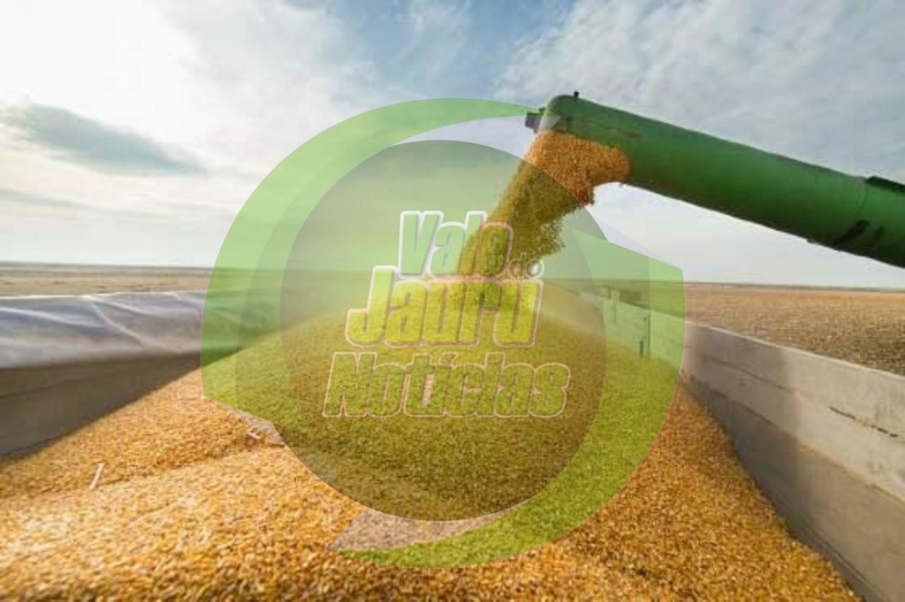 Exportações de soja e milho têm trimestre histórico