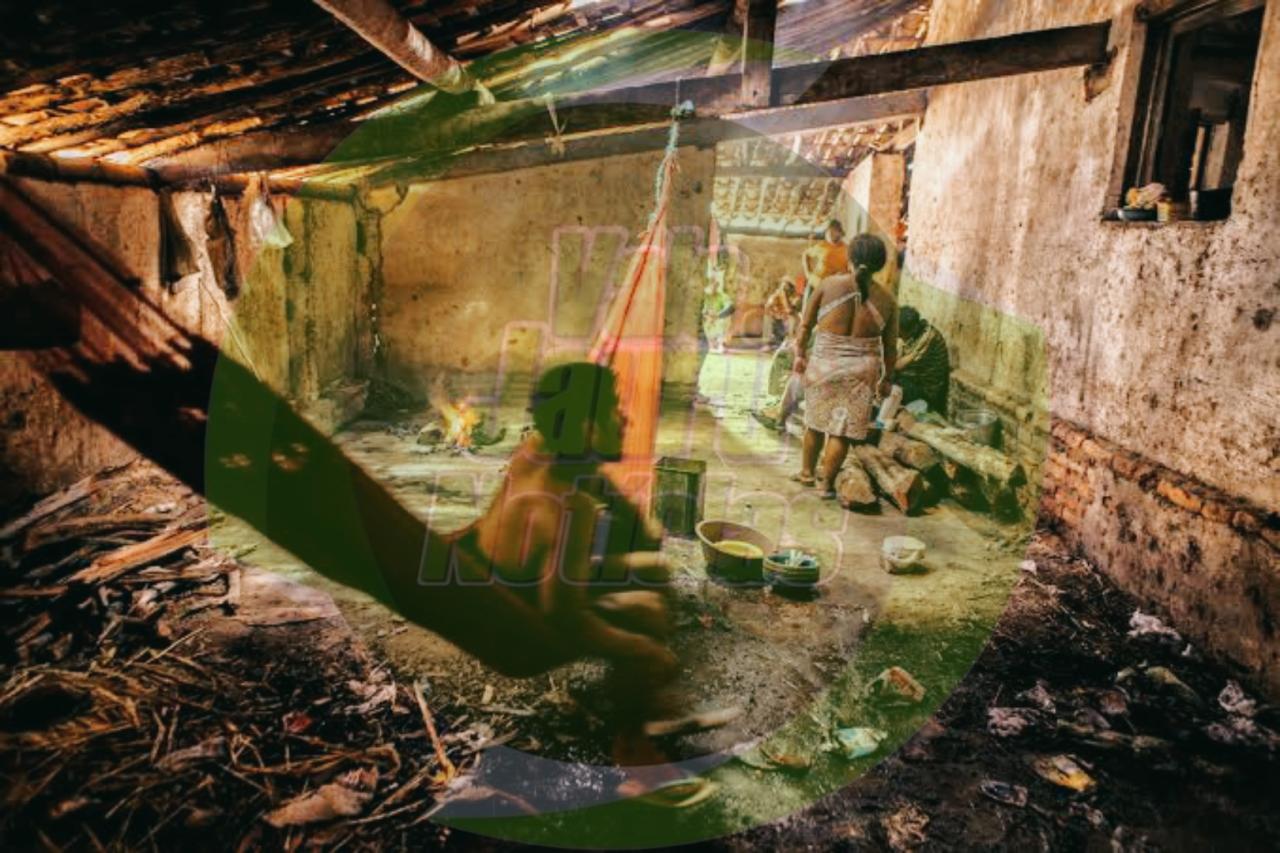 Mais de 200 pessoas são resgatadas do trabalho escravo em GO e MG