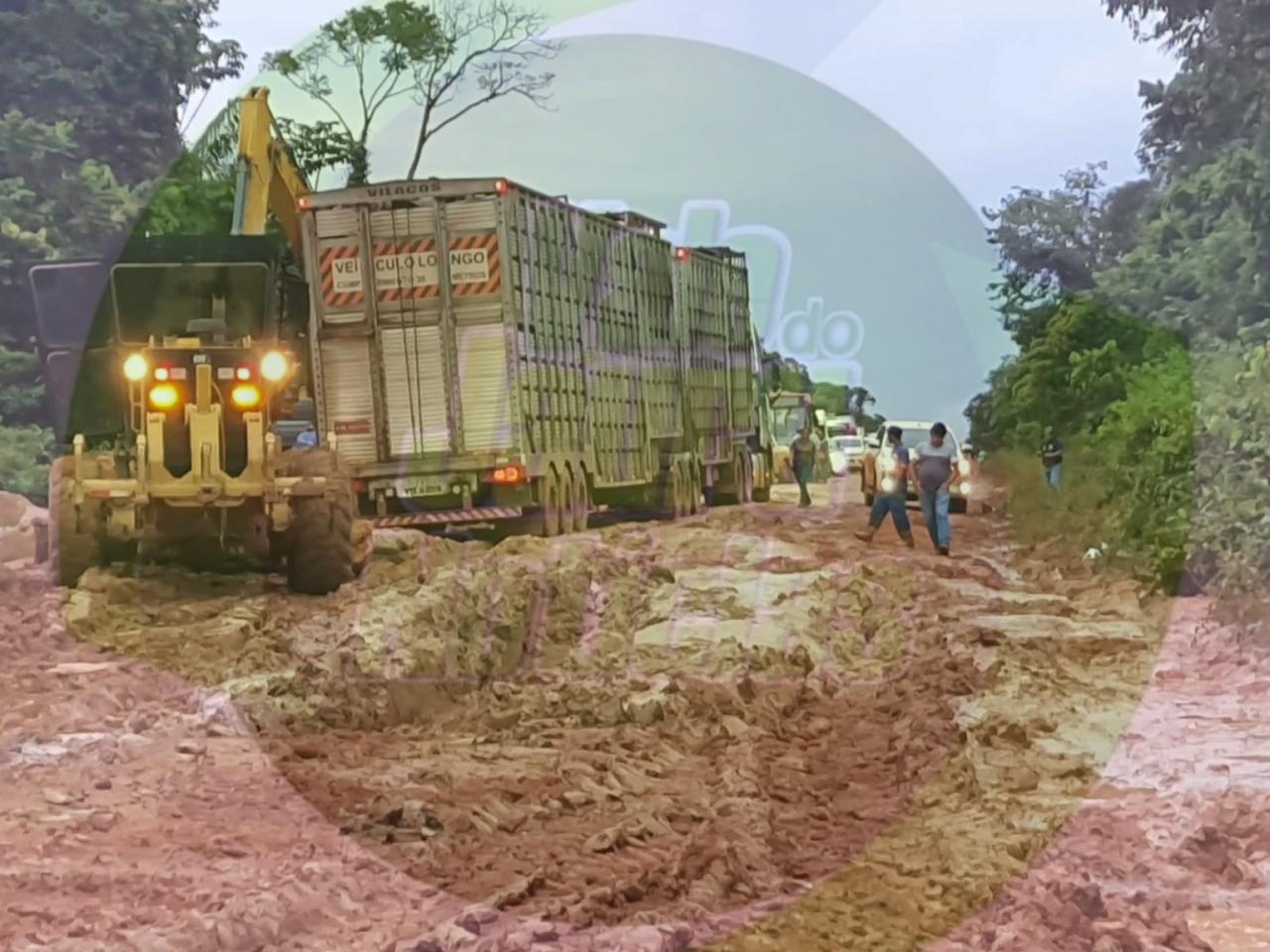 MT-170: motoristas levam até oito dias para percorrer cerca de 270 km