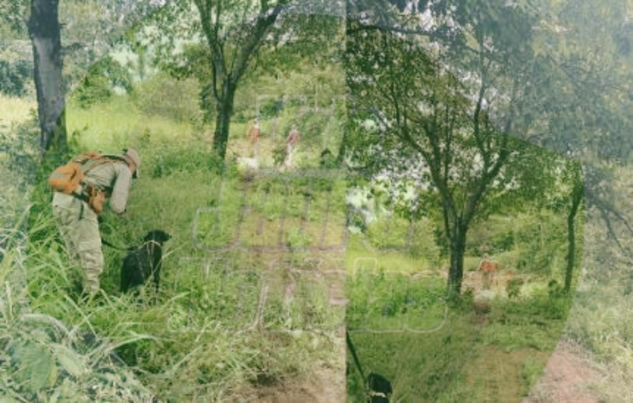 Polícia identifica área onde fica cemitério clandestino da facção em Cuiabá MT