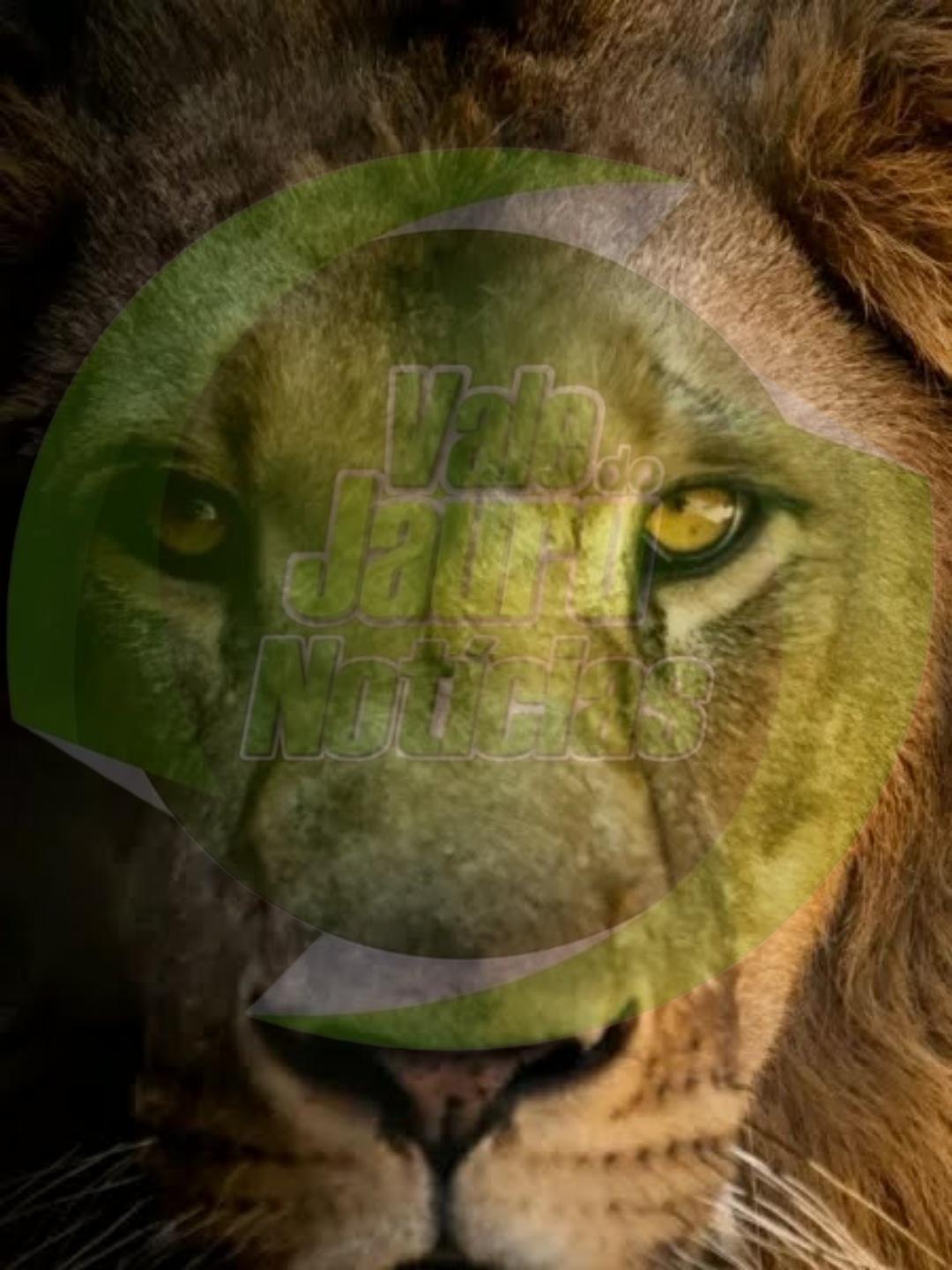 Veja o Calendário da restituição do Imposto de Renda 2023: veja datas de pagamento