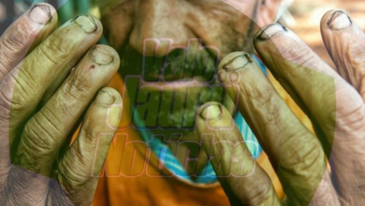 Vinícolas devem pagar R$ 7 milhões por caso de trabalho escravo no RS