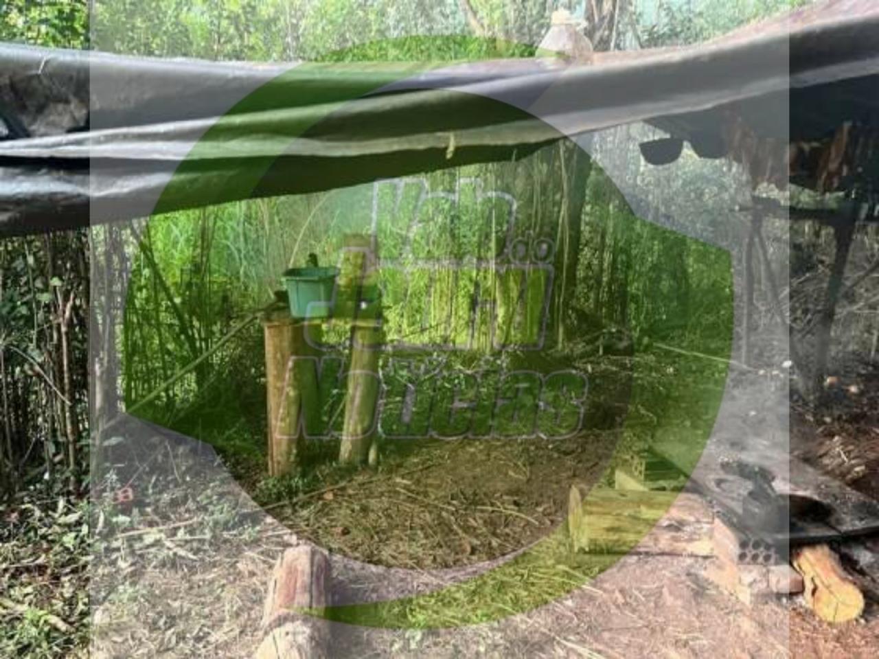 MT tem oito empregadores na 