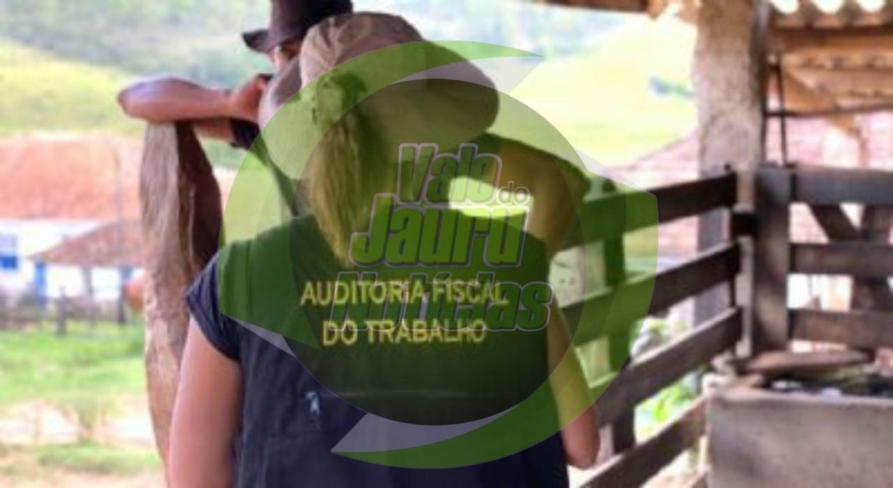 Nova lista de trabalho análogo à escravidão contém 289 nomes; incluindo Mato Grosso