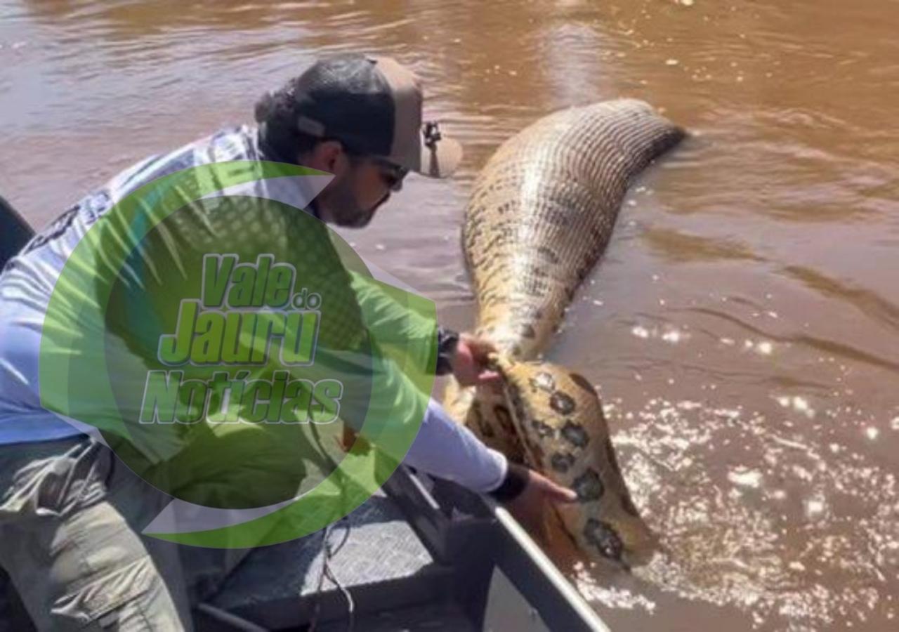 Pescador encontra sucuri de 7 metros morta boiando em rio de MS