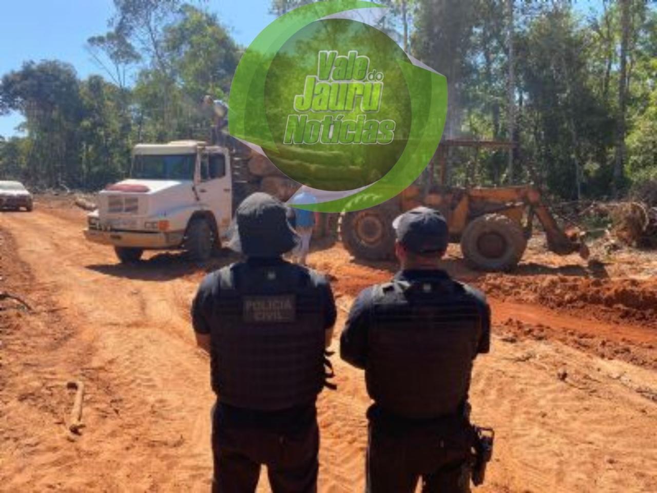 Agentes políticos e empresários são alvos de operação que combate extração ilegal de madeira em MT