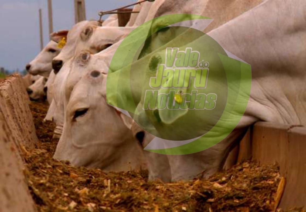 Brasil poderá exportar aditivos de alimentação de bovinos para a Argentina
