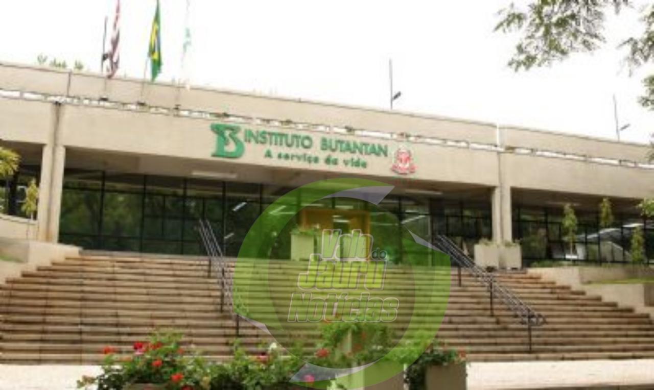 Butantan começa a desenvolver vacina contra gripe aviária